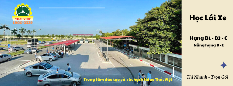 Trung tâm đào tạo lái xe và sát hạch lái xe Thái Việt