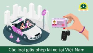 Phân loại các hạng bằng lái xe tại Việt Nam năm 2024