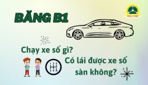 Bằng B1 chạy số gì? Có chạy được xe số sàn không?