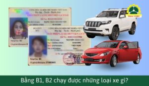 Bằng B1, B2 là gì? Bằng B1 B2 chạy được những loại xe gì?