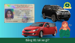 Bằng B1 lái xe gì? Cụ thể chạy được những loại xe nào?