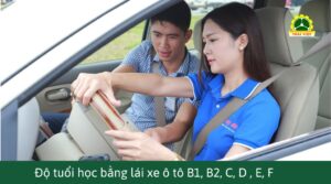 Độ tuổi học bằng lái xe B1, B2, C, D, E, F là bao nhiêu tuổi?